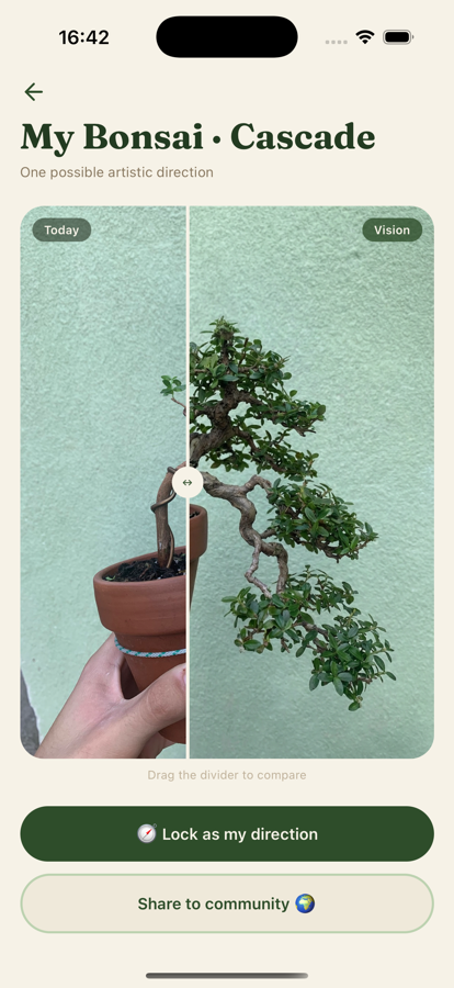Bonsapp Future Vision — before/after comparison of a bonsai and its cascade-style AI vision